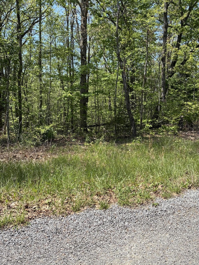 0 Retreat Dr, Crossville, TN 38572 - photo 2