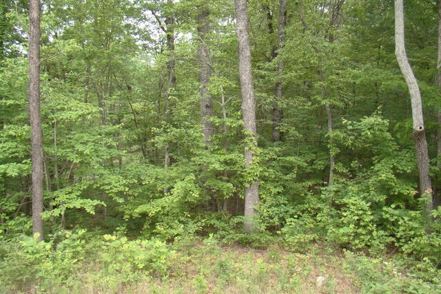 0 Retreat Dr, Crossville, TN 38572 - photo 7