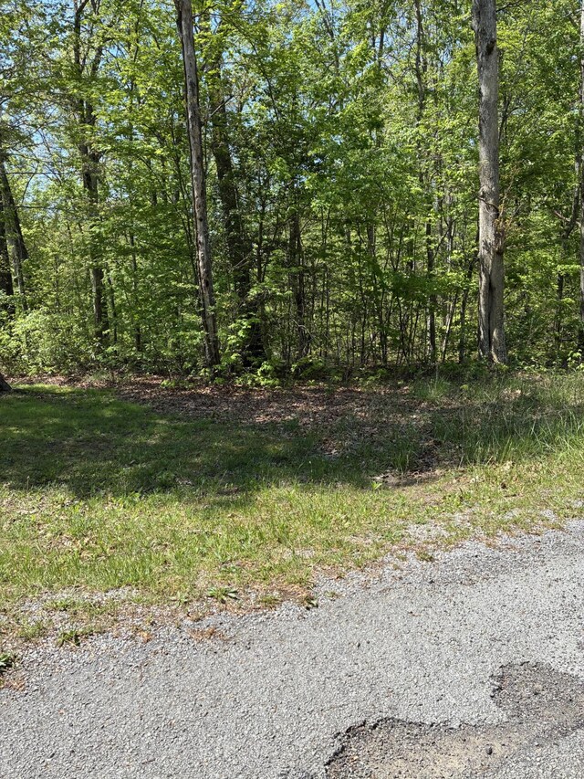 0 Retreat Dr, Crossville, TN 38572 - photo 4