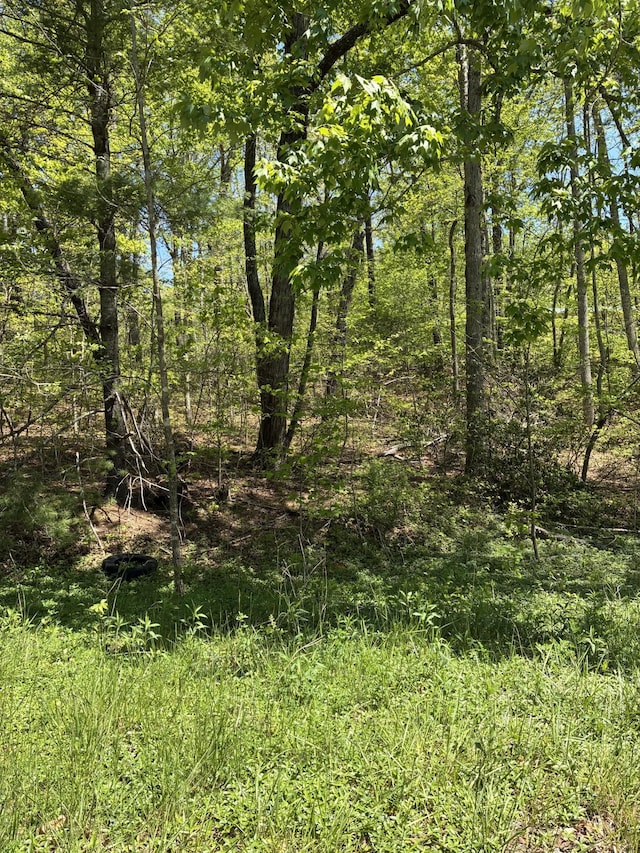 0 Retreat Dr, Crossville, TN 38572 - photo 3