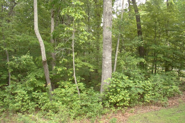 0 Retreat Dr, Crossville, TN 38572 - photo 9