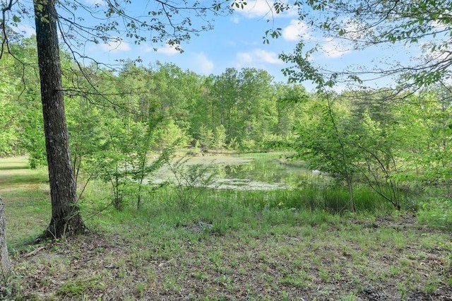 462 Clifford Dykes Rd, Tracy City, TN 37387 - view of wooded area