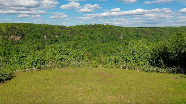 462 Clifford Dykes Rd, Tracy City, TN 37387 - view of green lawn with a wooded view