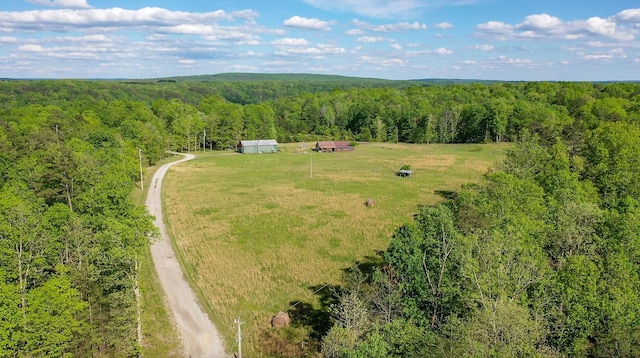462 Clifford Dykes Rd, Tracy City, TN 37387 - view of rural area with a forest