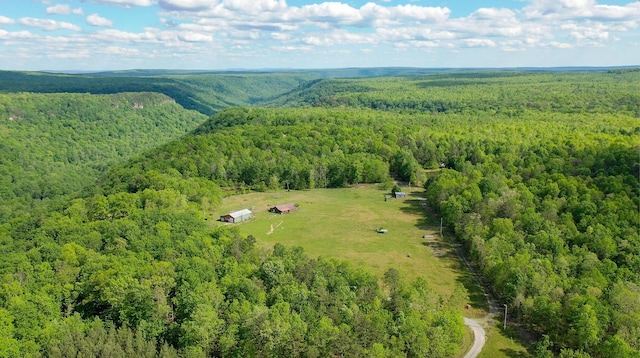 462 Clifford Dykes Rd, Tracy City, TN 37387 - drone / aerial view of a forest