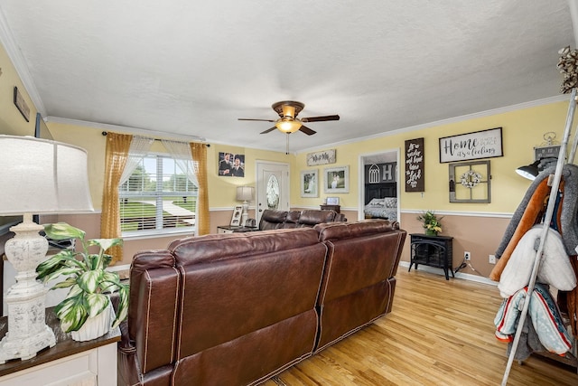 155 Deer Cir, Estill Springs, TN 37330 - living room with a ceiling fan, light wood-type flooring, crown molding, and baseboards