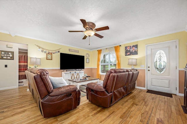 155 Deer Cir, Estill Springs, TN 37330 - living room with a ceiling fan, light wood-style floors, a textured ceiling, ornamental molding, and baseboards