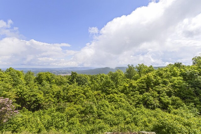 78 Fawn Dr, Belvidere, TN 37306 - photo 52