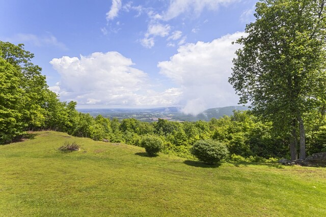 78 Fawn Dr, Belvidere, TN 37306 - photo 54