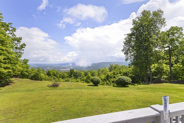 78 Fawn Dr, Belvidere, TN 37306 - photo 50