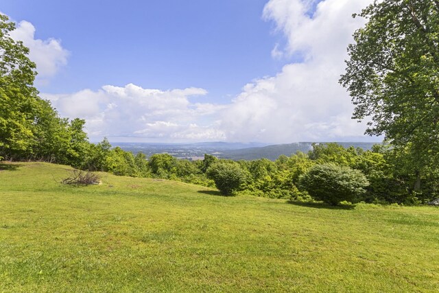 78 Fawn Dr, Belvidere, TN 37306 - photo 49