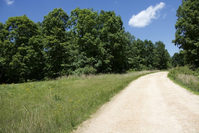 156 Ellies Run, Mount Pleasant, TN 38474