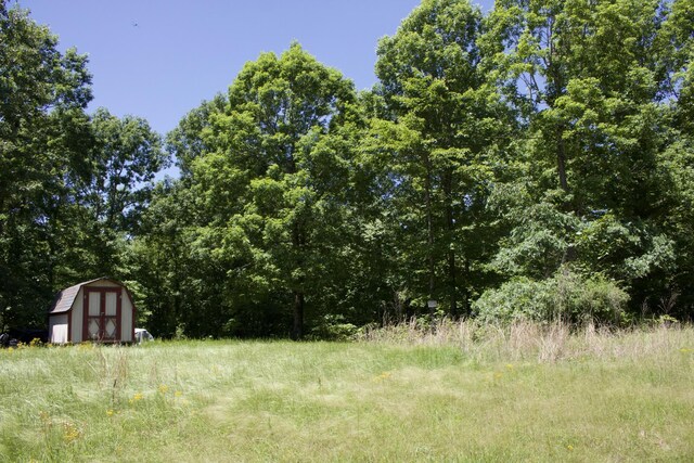 156 Ellies Run, Mount Pleasant, TN 38474