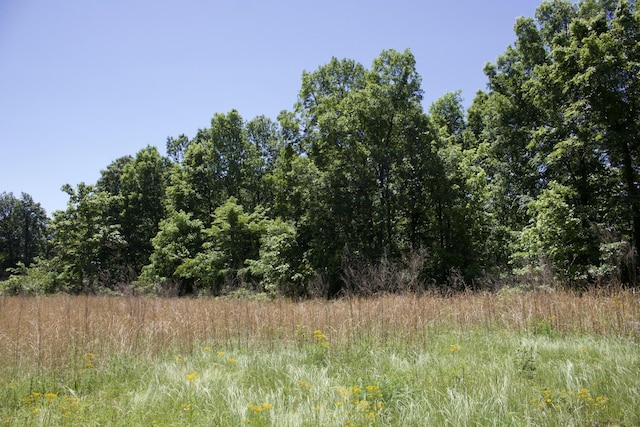 156 Ellies Run, Mount Pleasant, TN 38474