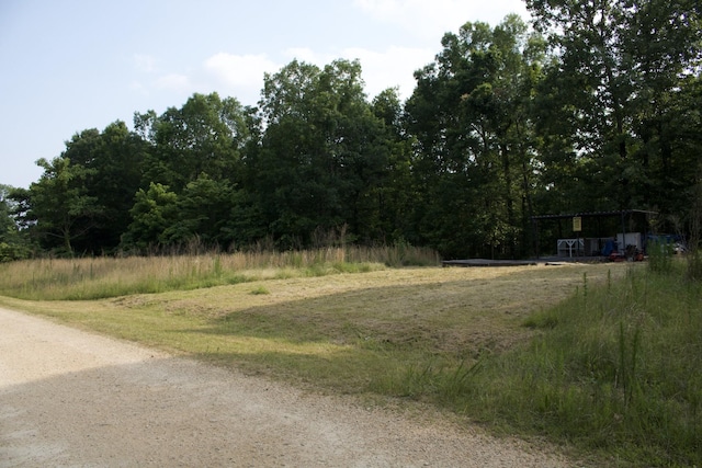 156 Ellies Run, Mount Pleasant, TN 38474