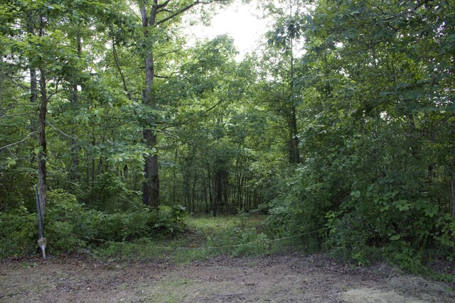 156 Ellies Run, Mount Pleasant, TN 38474