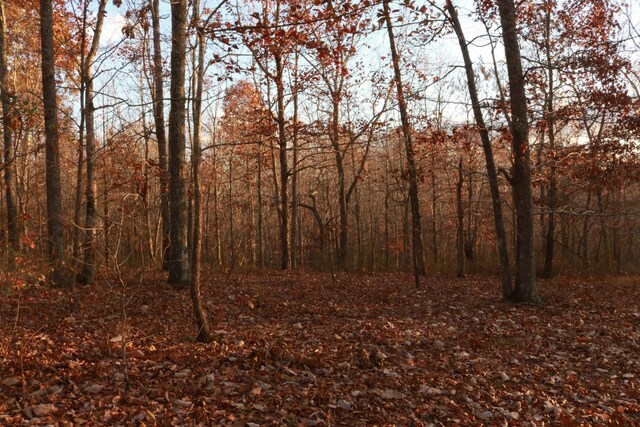 156 Ellies Run, Mount Pleasant, TN 38474