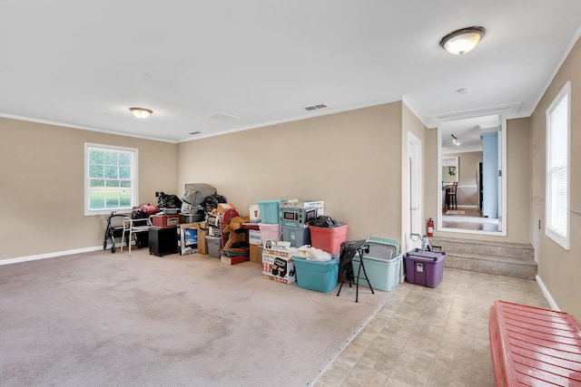 1683 Boynton Valley Rd, Manchester, TN 37355 - photo 56
