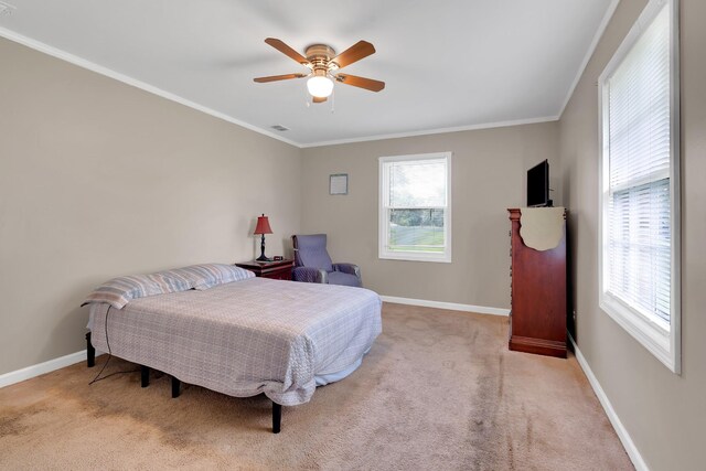 1683 Boynton Valley Rd, Manchester, TN 37355 - photo 48