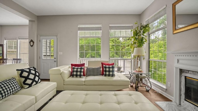 517 Eversholt Ct, Antioch, TN 37013 - living area featuring a premium fireplace, wood finished floors, and baseboards