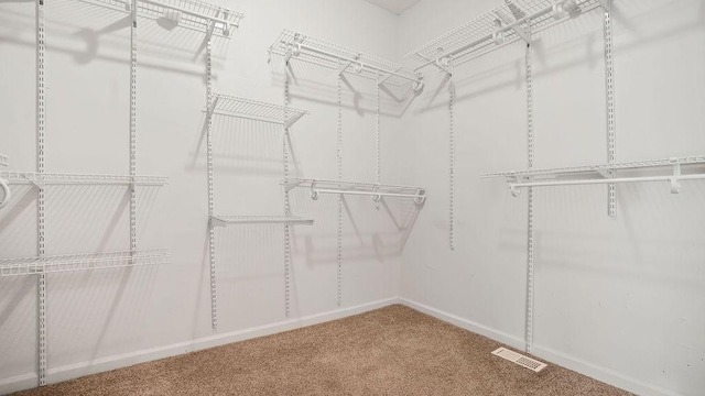 517 Eversholt Ct, Antioch, TN 37013 - spacious closet with carpet
