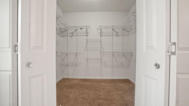 517 Eversholt Ct, Antioch, TN 37013 - walk in closet featuring carpet