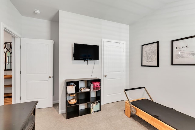 5312 Owens Ln, White House, TN 37188 - sitting room with light colored carpet