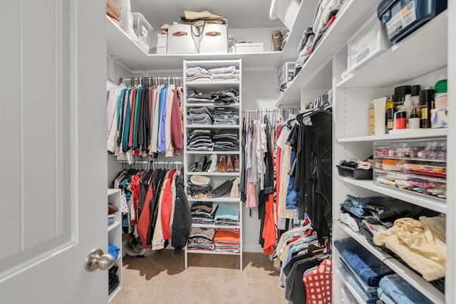 5312 Owens Ln, White House, TN 37188 - walk in closet with carpet flooring