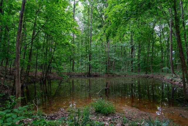 1794 Mosley Ferry Rd, Chapmansboro, TN 37035 - view of tree filled area