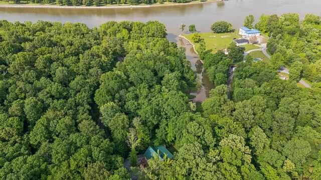 47 Powerhouse Rd, Charlotte, TN 37036 - photo 54