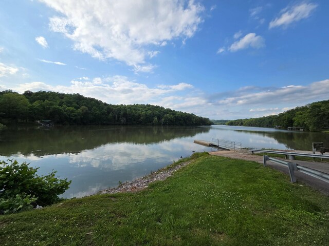 47 Powerhouse Rd, Charlotte, TN 37036 - photo 57