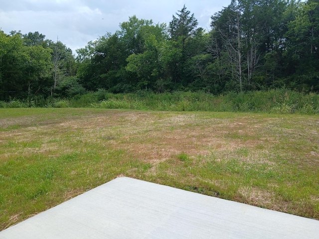2121 Red Barn Rd, Christiana, TN 37037 - photo 81