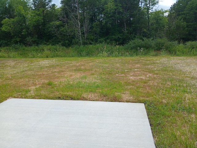 2121 Red Barn Rd, Christiana, TN 37037 - photo 79