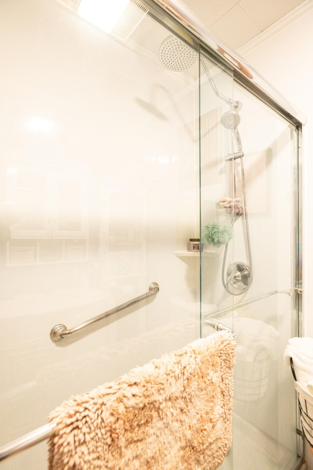 470 Arlington St, Erin, TN 37061 - bathroom with a stall shower