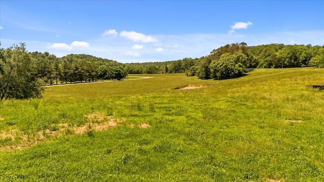 495 Baker Rd, Dickson, TN 37055 - view of wooded area with a view of countryside