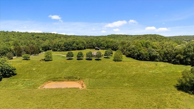 495 Baker Rd, Dickson, TN 37055 - drone / aerial view of a forest