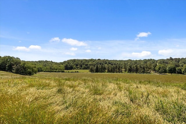 495 Baker Rd, Dickson, TN 37055 - view of tree filled area with a view of rural / pastoral area