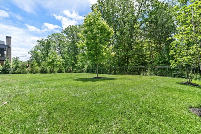 8629 Belladonna Dr, College Grove, TN 37046 - photo 57