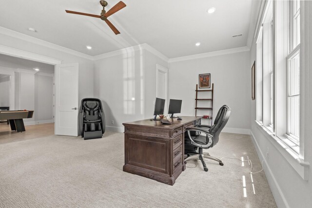 8629 Belladonna Dr, College Grove, TN 37046 - photo 39