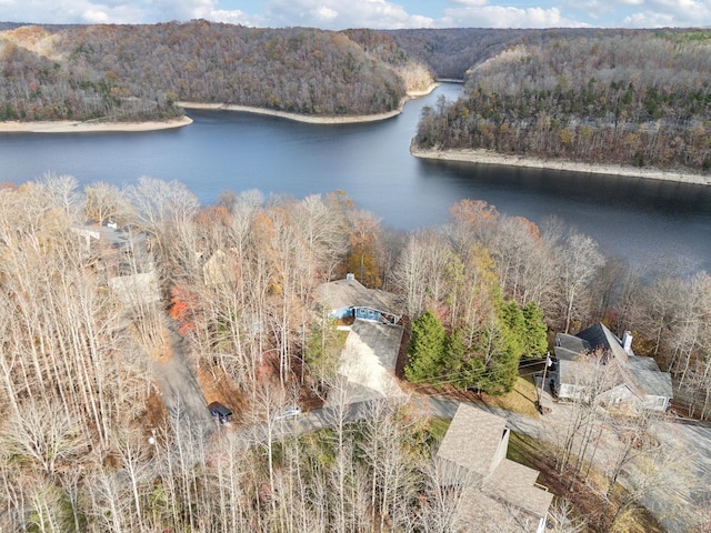 290 Spring Cir, Smithville, TN 37166 - aerial view of property's location featuring a forest and a nearby body of water