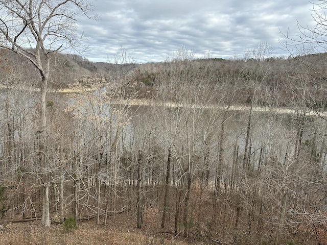 290 Spring Cir, Smithville, TN 37166 - water view
