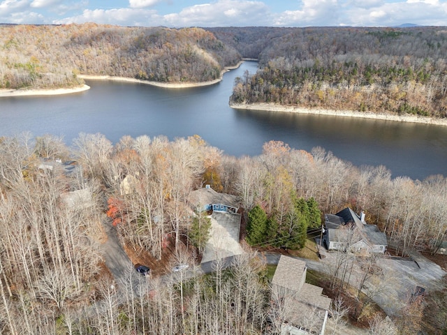 290 Spring Cir, Smithville, TN 37166 - aerial view of a heavily wooded area and a nearby body of water