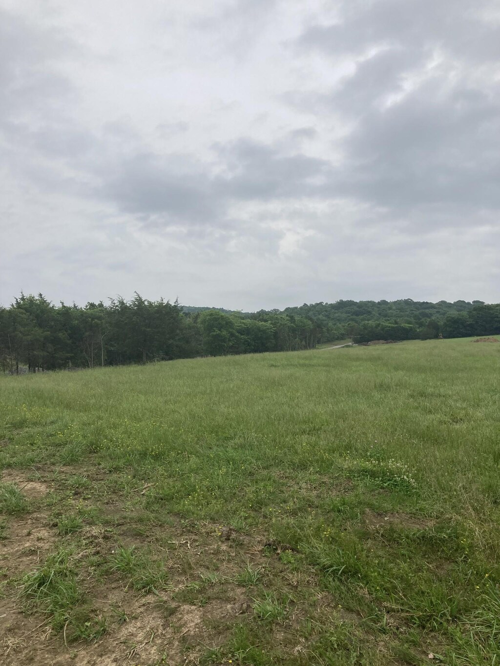 10629 Versailles Rd, Rockvale, TN 37153 - photo 1