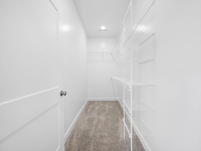 1456 Sango Commons Way, Clarksville, TN 37043 - spacious closet with carpet