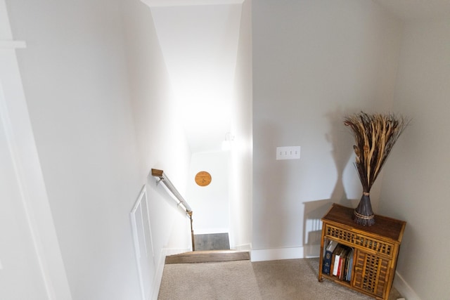 3303 Hampton Turner Dr, Murfreesboro, TN 37128 - staircase with carpet and baseboards