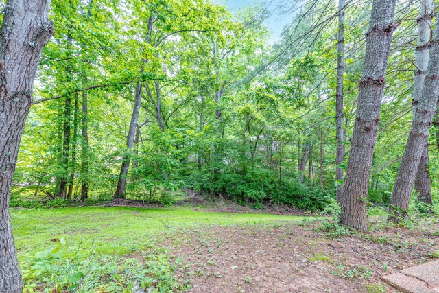 6933 Southern Woods Dr, Brentwood, TN 37027 - photo 51
