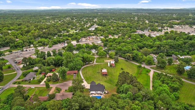 bird's eye view of a forest