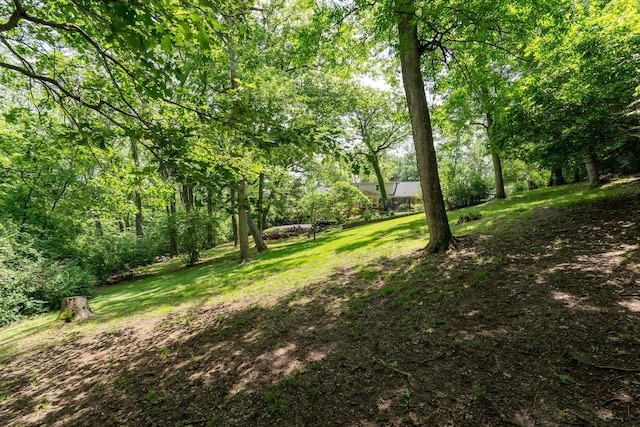 814 Willowdale Ct, Nashville, TN 37220 - photo 69