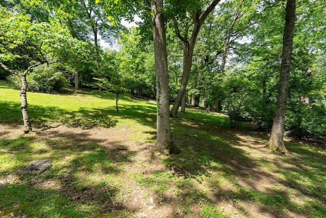 814 Willowdale Ct, Nashville, TN 37220 - photo 68