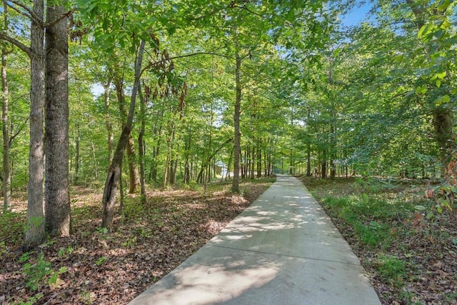4455 Tarsus Rd, Palmyra, TN 37142 - view of home's community with a view of trees